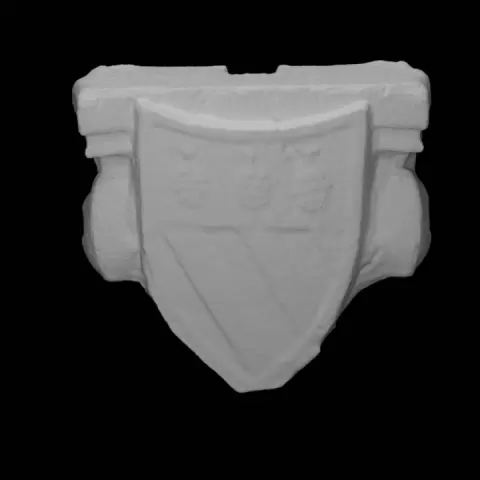 Heraldic coat of arms of Moro Family by Scan The World