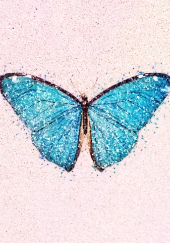 Batarfly - Md Mahabub Alam