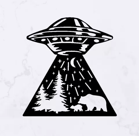 UFO Abduction