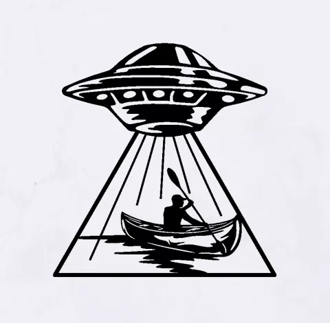 UFO Abduction