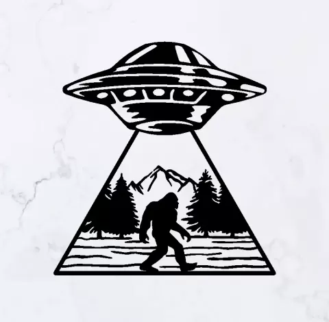 UFO Abduction