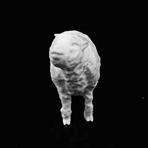 Sheep at the Natural History Museum, London by Natural History Museum
