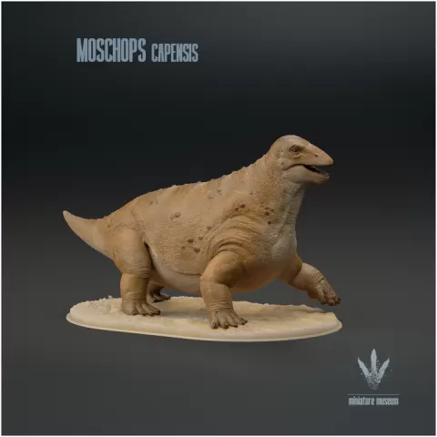 Moschops capensis : Walking by Miniature Museum