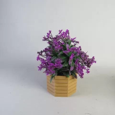 Hexagonal Bonsai Pot by Critters Territory