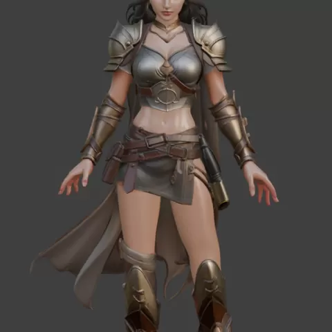 Fantasy Lady Warrior