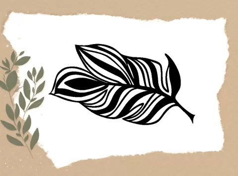 FEATHER