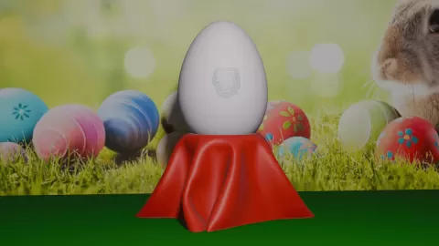 Egg Holder - Cloth