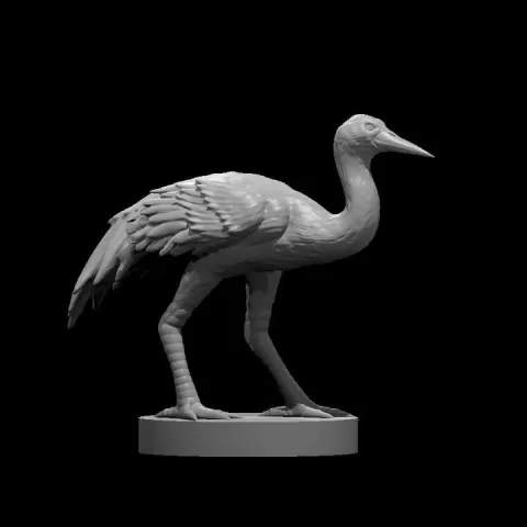 Crane by Miguel Zavala