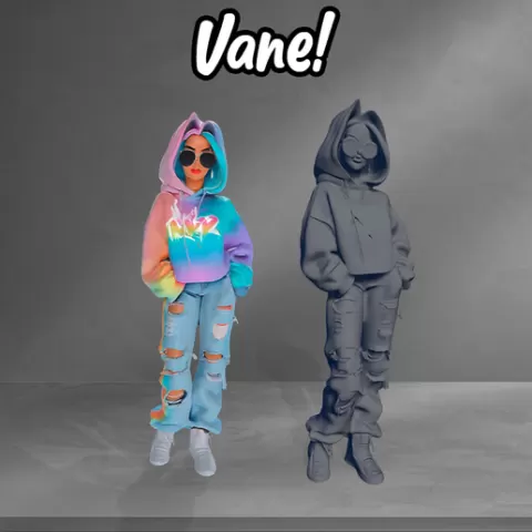 Vane