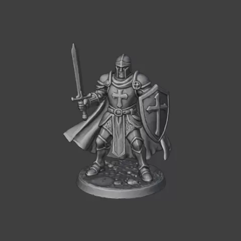 D&D Generic Paladin