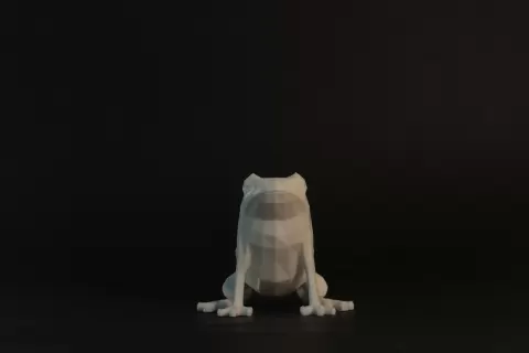 Low Poly Frog - RyKa 3D