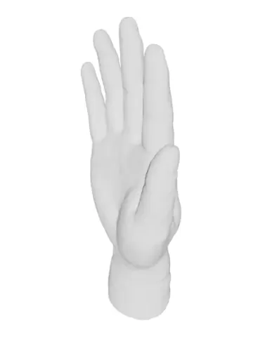 Hand model（scanned by Revopoint MINI）