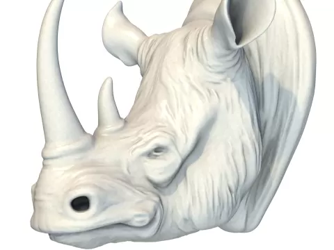 Rhino Head - 3D Model - 1xMerch