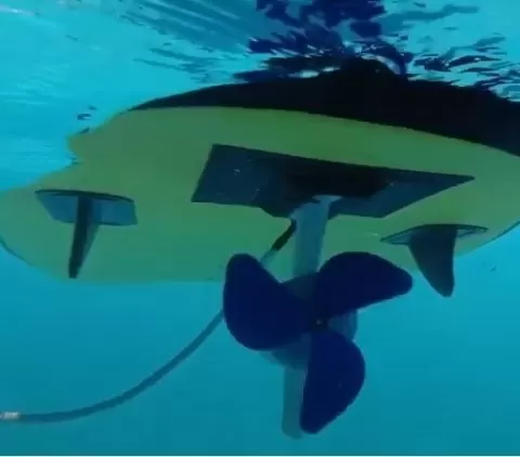 Electric surf board