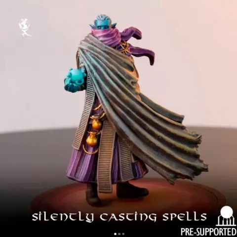 Elf Sorcerer by Atlas Studios
