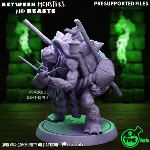 Avaggio Deathspin, turtlefolk monk by TPK Lab