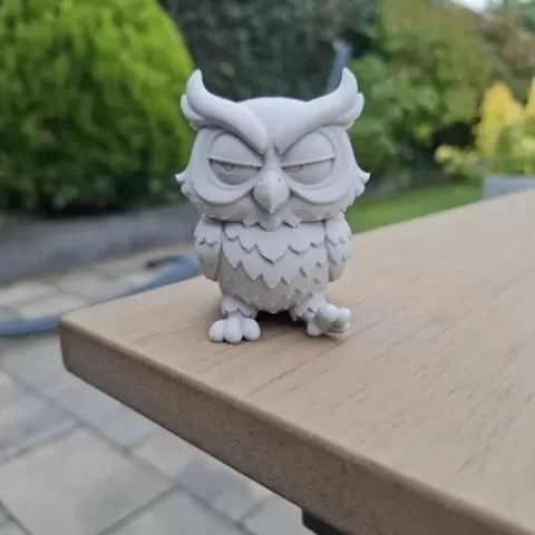 The Grumpy Owl Guardian