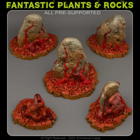 WAR OF THE WORLDS STONES by Fantastic Plants And Rocks