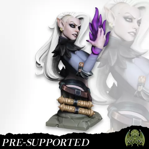 BUST Kayla The Dark Blade [PRE-SUPPORTED] Female Fighter Bladesinger by Miniatures of Madness
