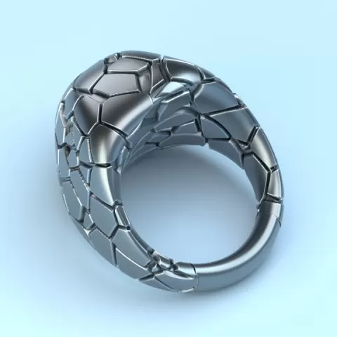 Voronoi cracked ring by Amelyna
