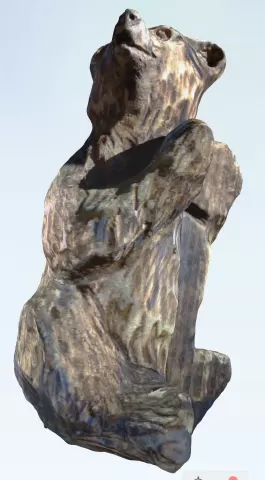 Climbing bear - Mountain