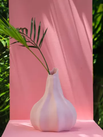 Meringue