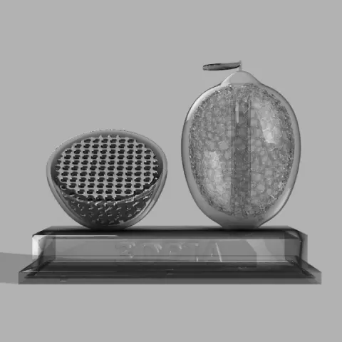 3DPIAwards - Lemon by Sultan Hamid