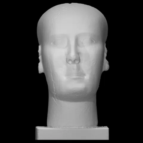 "Reserve head" by Scan The World