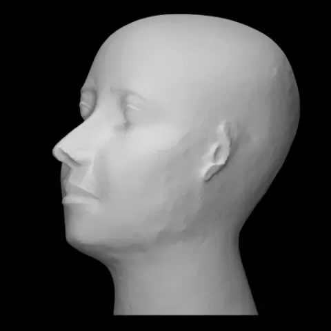 "Reserve head" by Scan The World