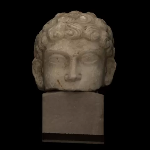 Portrait head from Palmyra by Museum der Universität Tübingen