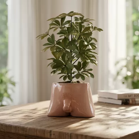 Dickie Planter by Studio Tridimen