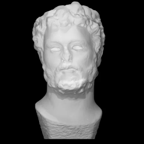 Portrait head by Scan The World