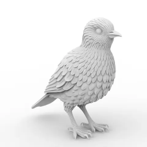Bird 3D Print Model