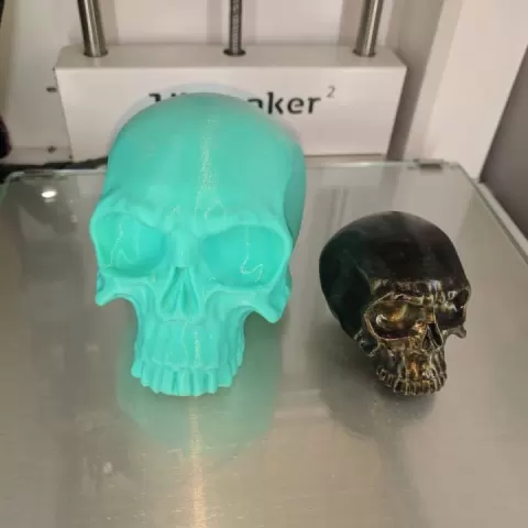 Skull by Robert H. Abazyan