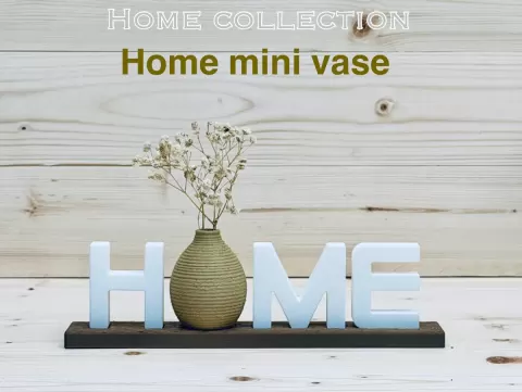 Home Mini Vase