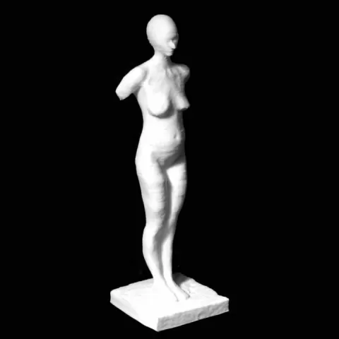 Homo Bulla III at The Saatchi Gallery, London by Scan The World