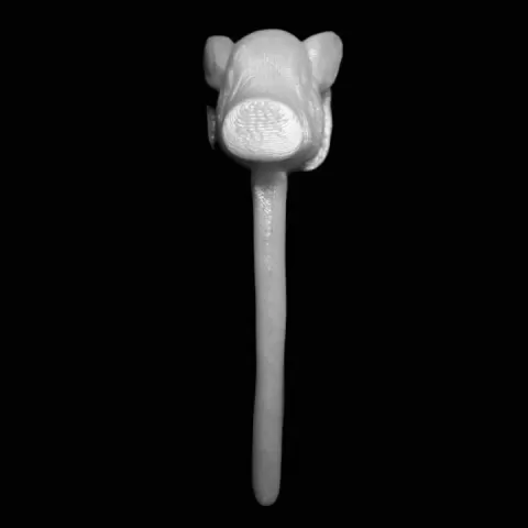 Pig-topped lynch-pin at The British Museum, London by Scan The World
