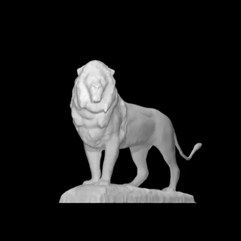 Lion Sculpture at the Art Institute of Chicago, Illinois by Scan The World
