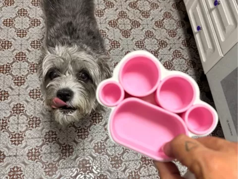 Tupperpet Delicious tupper for pets picnic . 5 can