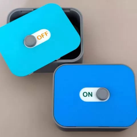 Toggle Lock Box