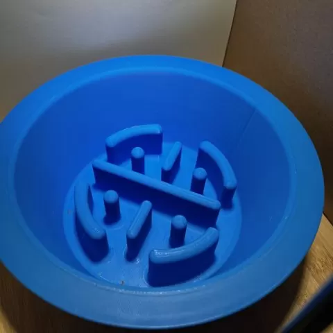 Slow Eater Dog Bowl