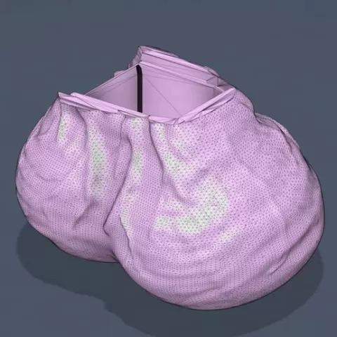 Sac Mag Extender