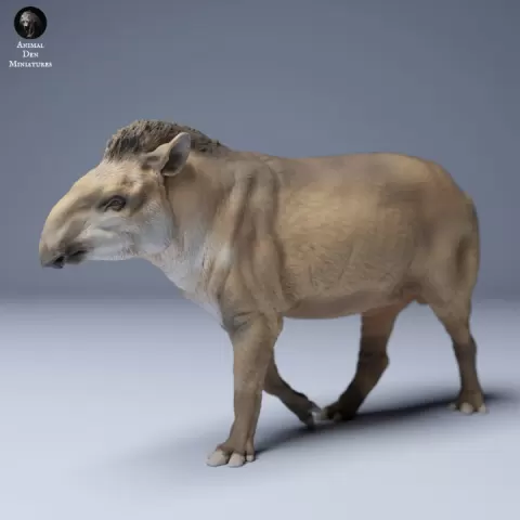Brazilian tapir (Tapirus terrestris) Male Walking by Animal Den Miniatures