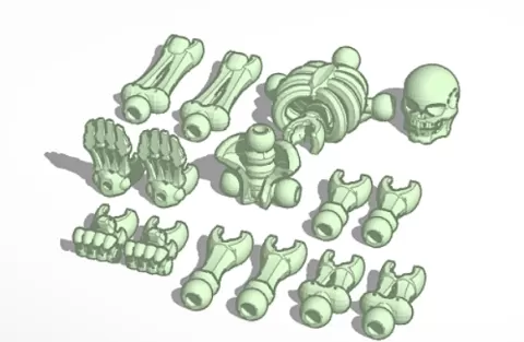 skeleton