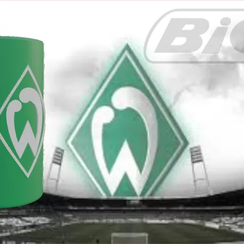 [BIC Sleeve] SV Werder Bremen