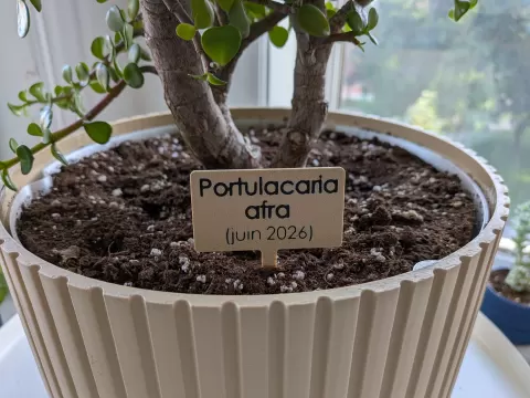 Plant / Flower Label (modify text in Bambu Studio)