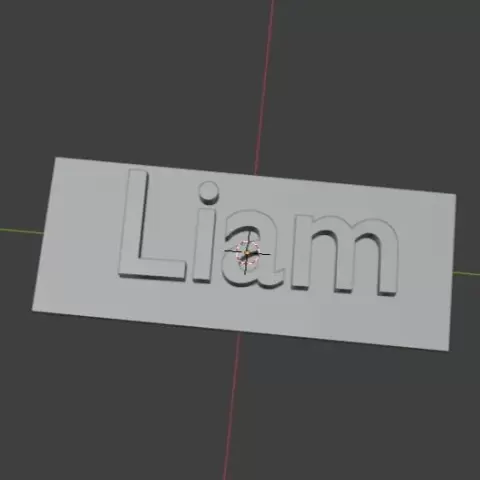 Liam nametag - Tom