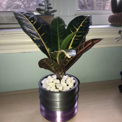 Wavy Pot by Madison Greco