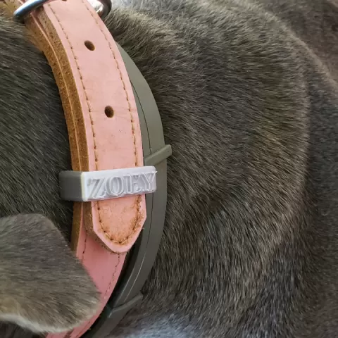 dog collar loop by Pitbulldoorbell