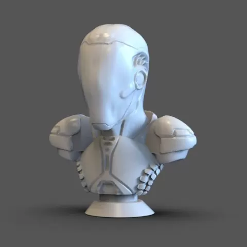 Cyborg Bust